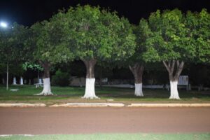 Leia mais sobre o artigo Tradição que prejudica: pintura de troncos de árvores em Pedro Gomes pode configurar crime ambiental