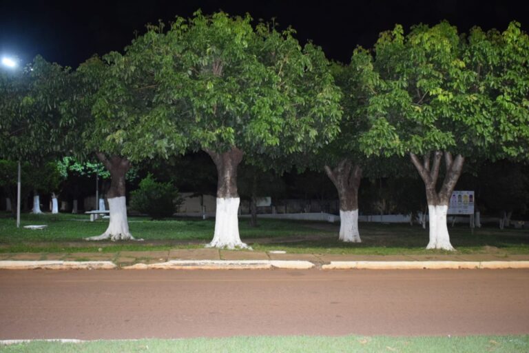 Leia mais sobre o artigo Tradição que prejudica: pintura de troncos de árvores em Pedro Gomes pode configurar crime ambiental