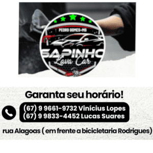 sapinho-banner