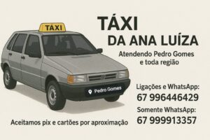ana-taxi
