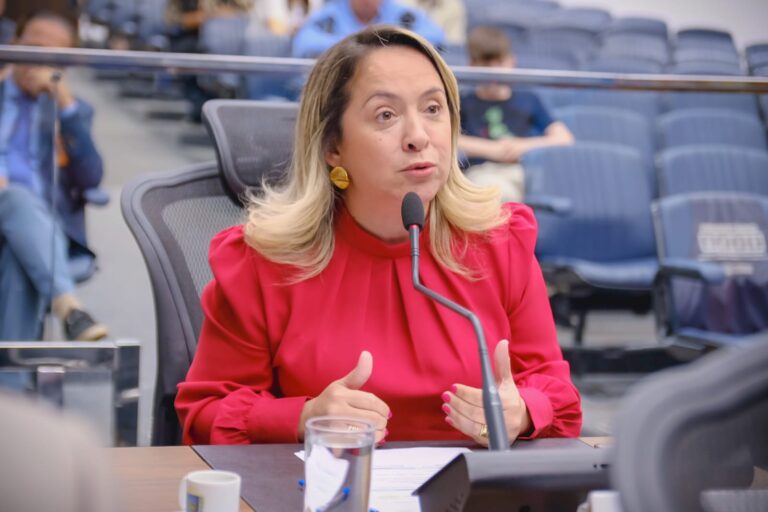 Leia mais sobre o artigo Após empenho de Lia Nogueira Dourados faz história com DEAM 24h