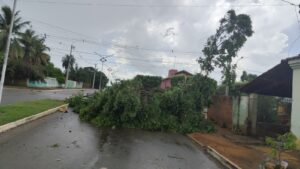 Leia mais sobre o artigo Temporal Atinge Pedro Gomes (MS) e Acende Alerta sobre Crise Climática