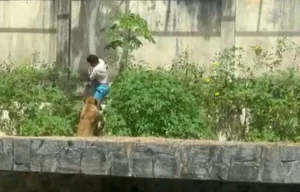 Leia mais sobre o artigo Negligência na Saúde Mental e Tragédias Anunciadas