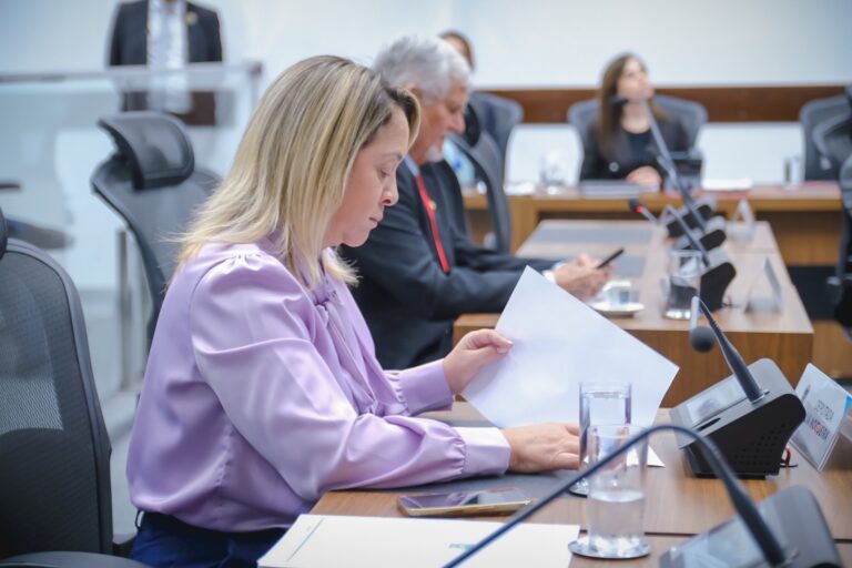 Leia mais sobre o artigo Lia Nogueira solicita rotatória na BR-163