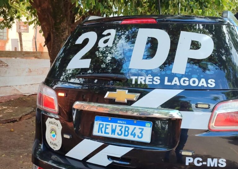 Leia mais sobre o artigo Polícia Civil prende homem por furto, em Três Lagoas