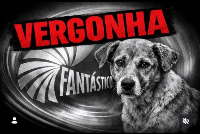 Leia mais sobre o artigo Caso do cão morto por adolescentes expõe mais uma vez a falência da responsabilização no Brasil