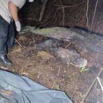 Investigação e Resposta: Polícia Civil localiza corpo de jovem desaparecido em Três Lagoas(MS)