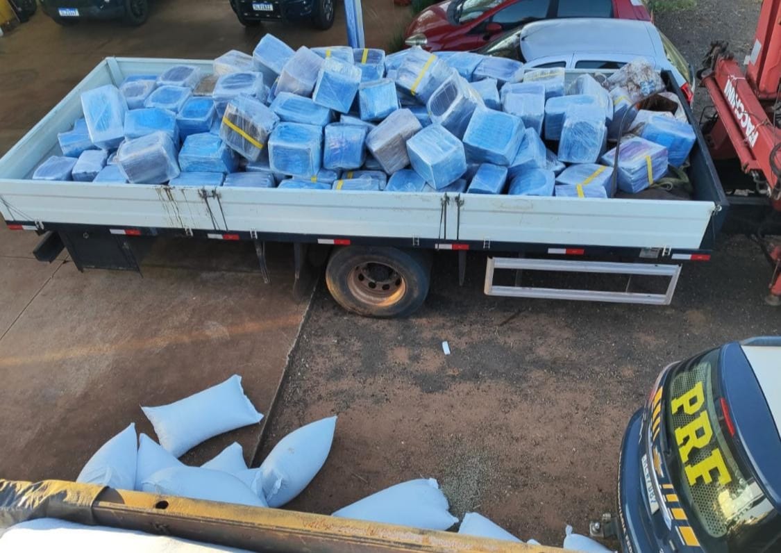 Carga de girassol escondia drogas: PRF prende motorista e apreende 4.755 kg de maconha na BR-158